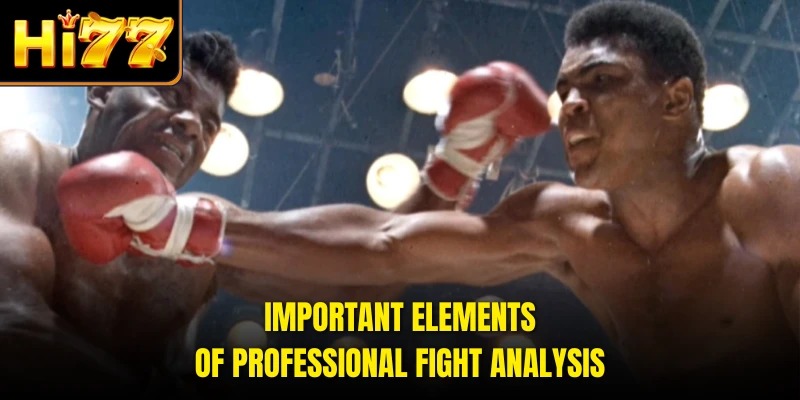 Important elements of professional fight analysis