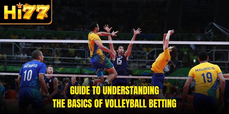Guide to understanding the basics of Volleyball Betting